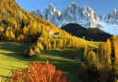Smells & flavours from South Tyrol Smells & flavours from South Tyrol