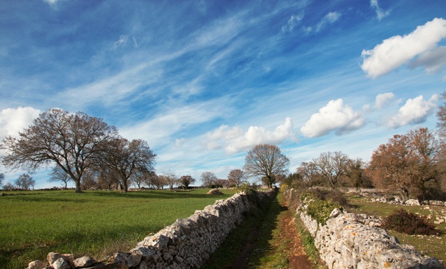 The wonderful Itria Valley The wonderful Itria Valley