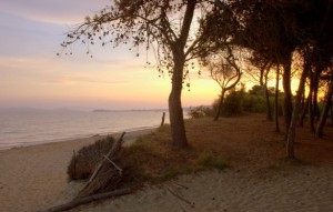 spiaggia-parco-sterpaia