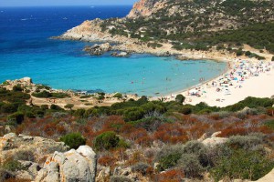 chia cala cipolla