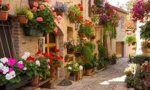 spello-borgo